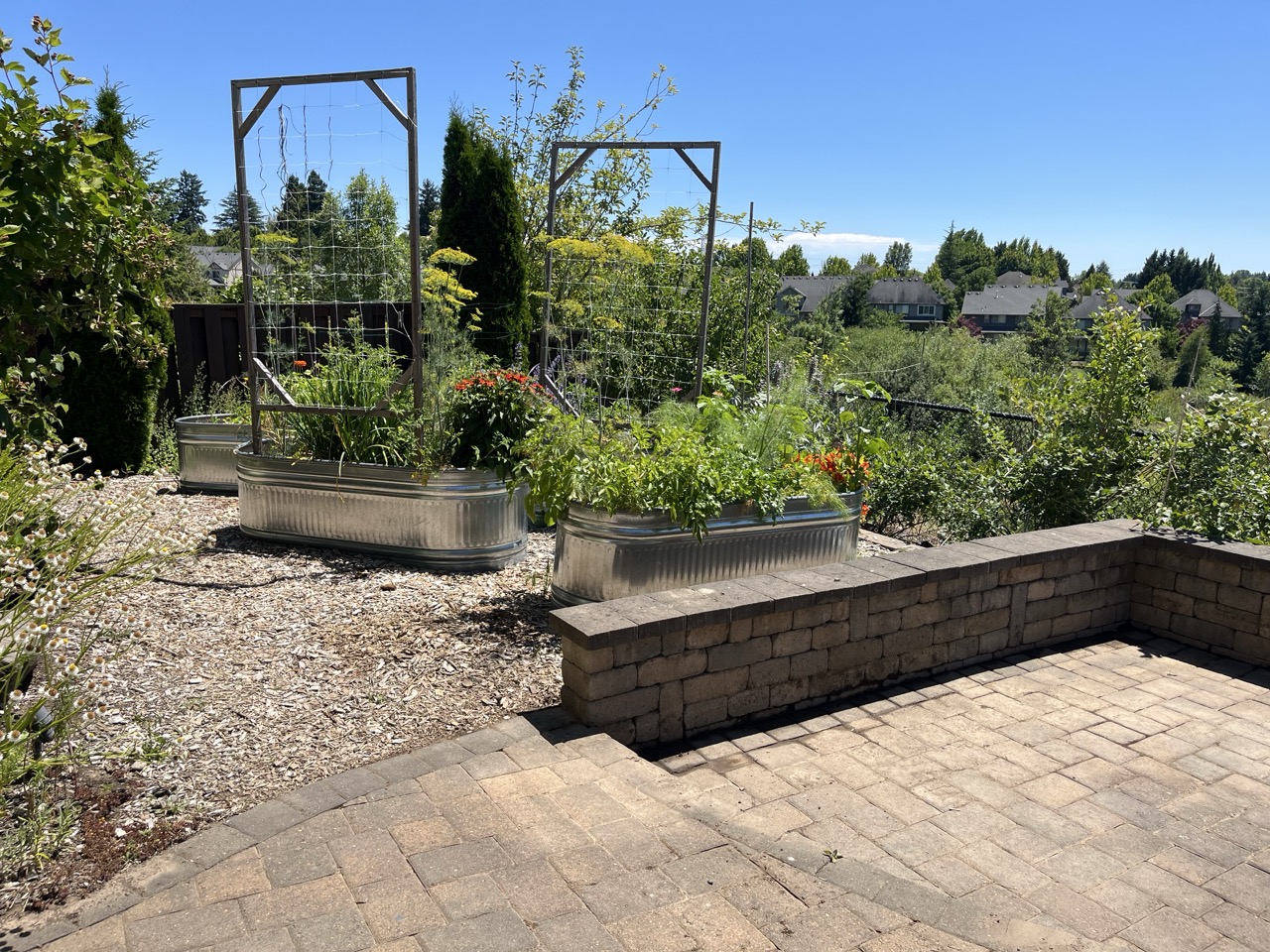Backyard view 1