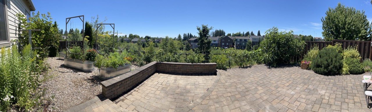 Backyard view 2