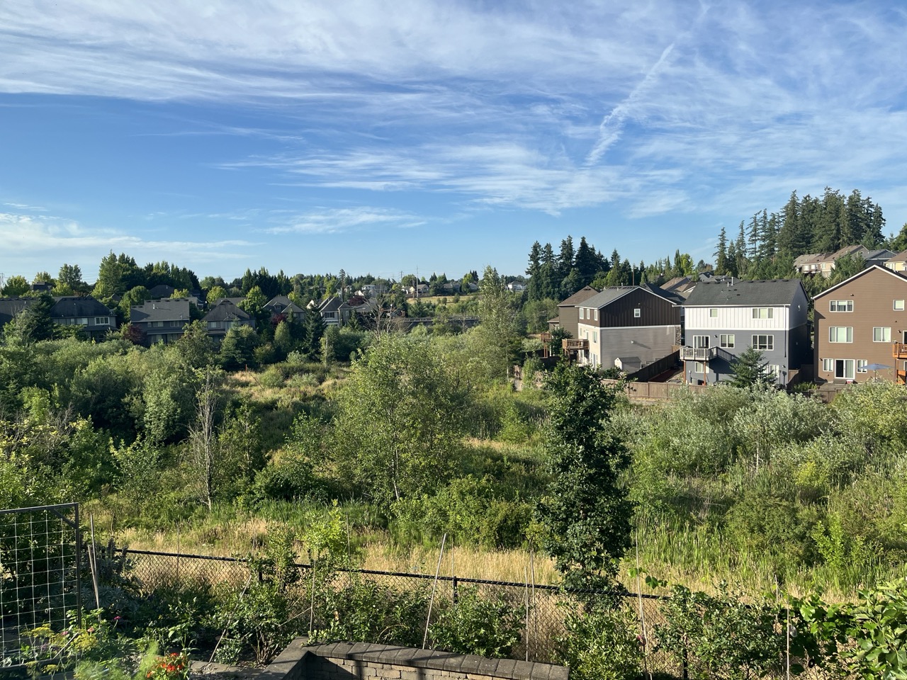 Backyard view 3
